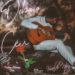 Vivaldo Nery - Debaixo do mesmo Céu EP