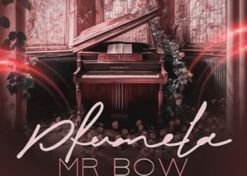 Mr. Bow – Pfumela