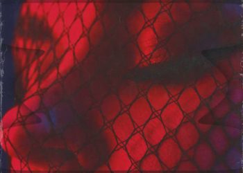 Danni Gato – Spider Man