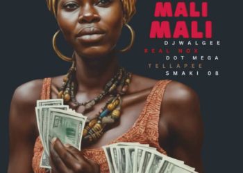 DJ Walgee – MALI (feat. Real Nox & Tellapee,Smaki 08,Dot Mega)