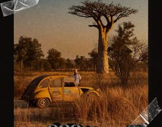 Ivory White & Boddhi Satva - Dark Baobab
