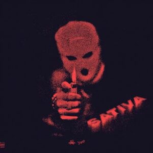 NZ Gang - Sativa