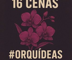 16 Cenas – Orquídeas