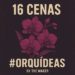 16 Cenas – Orquídeas