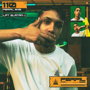 Pineapple StormTv - Perfil #110 - Objectivo (feat. LPT Zlatan, Stick, Galdino & Honaiser)