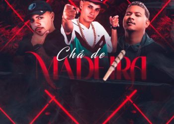 MC Perrella - Chá De Madeira (feat. L Jota MC & Mc Rodrigo do CN)