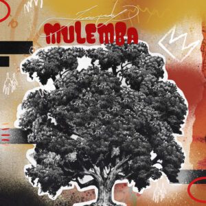 Jimmy P - Mulemba