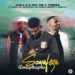 Sdala B x Pro Tee x Thwasa – Sowafezaamaphupho (feat. Ljay Musika, Neechor, Tamsi 2.0, B33Kay SA & Singapoure)