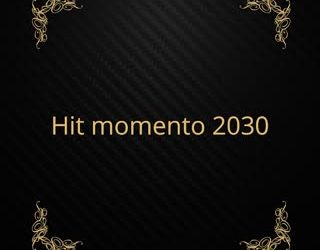 Tryndade Único x Mauro K x Tsunami x Mazny Bué de Ahh x Leonel Patricinho x Fresh Low x Preto Show x Silvio - Hit Momento2030