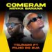 Tshunami x Filho Do Zua x Dj Verigal - Comeram A Minha Banana