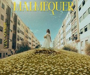 Van Sophie - Malmequer