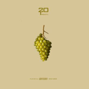 Twenty20 - Uvas Chardonnay