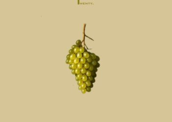 Twenty20 - Uvas Chardonnay