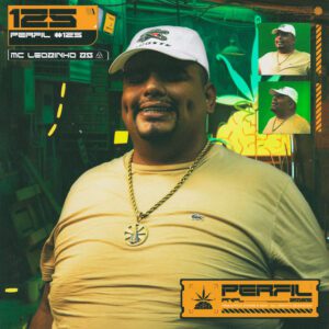 Pineapple StormTv - Perfil 125 Maloka Diferente (feat. MC Leozinho ZS, Dj Duh Andrade)