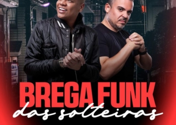 Dj Batata - Brega Funk Das Solteiras (feat. Duduzinho)