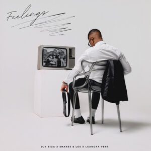 Djy Biza x Shakes x Les x Leandra.Vert - Feelings