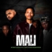 Inter B x Draad - Mali (feat. ADDYDENOWBOII, Al Xapo)