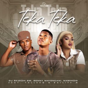 Dj Skizoh BW x Benny Mayengani - Teka Teka (feat. Bailiff M, MaWhoo, TallexQ, Bailiff M)