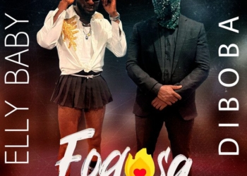 Diboba - Fogosa