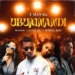 T-Man SA - Ubumnandi (feat. Bassie, Lady Du & Robot Boii)