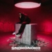 Al Xapo – SNOKONOKO (feat. Benzoo & EeQue)