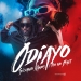 Silvanio Ramos - ODiAYO (feat. Teo No Beat)