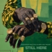Boddhi Satva x Solah Mae - Still Here (Inst Mix)