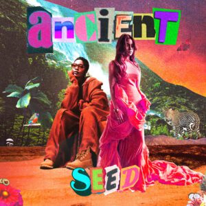 Dhee - Ancient Seed (feat. Tiwa Savage, Santhosh Narayanan & WondaGurl)