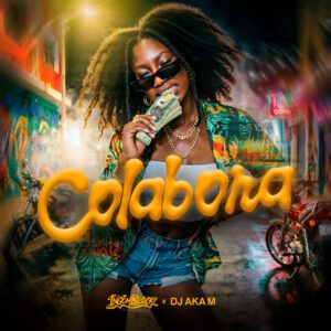 Ingomblock - Colabora