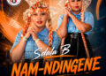 Sdala B – Nam Ndingene (feat. Linkanyezi & Anuza SA)