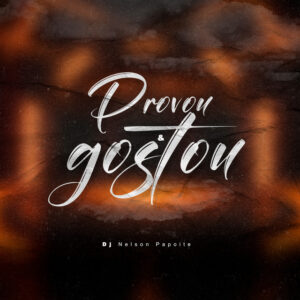 Dj Nelson Papoite - Provou e Gostou
